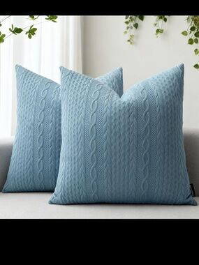 Brand new 2pc pillow cover set